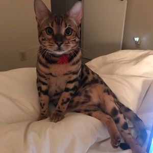 Meet your Posher, Cristina